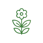 אייקון פרח פורח