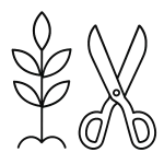 לעודד צמיחה