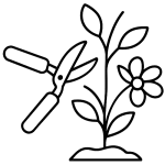 לעודד צמיחה פריחה